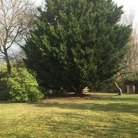La Grange De La Batone - Bed And Breakfast Messimy-sur-Saone Buitenkant foto
